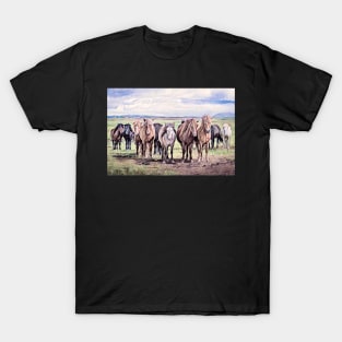 Wild Horses in Iceland T-Shirt